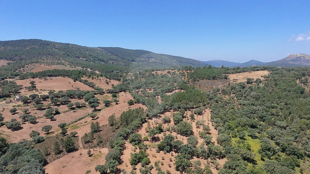 Quinta T0 para Venda em Santa Maria de Marvão Foto 2