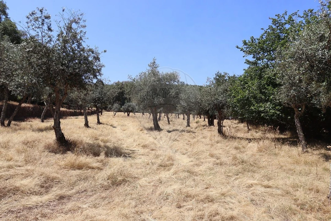 Quinta T0 para Venda em Santa Maria de Marvão Foto 16