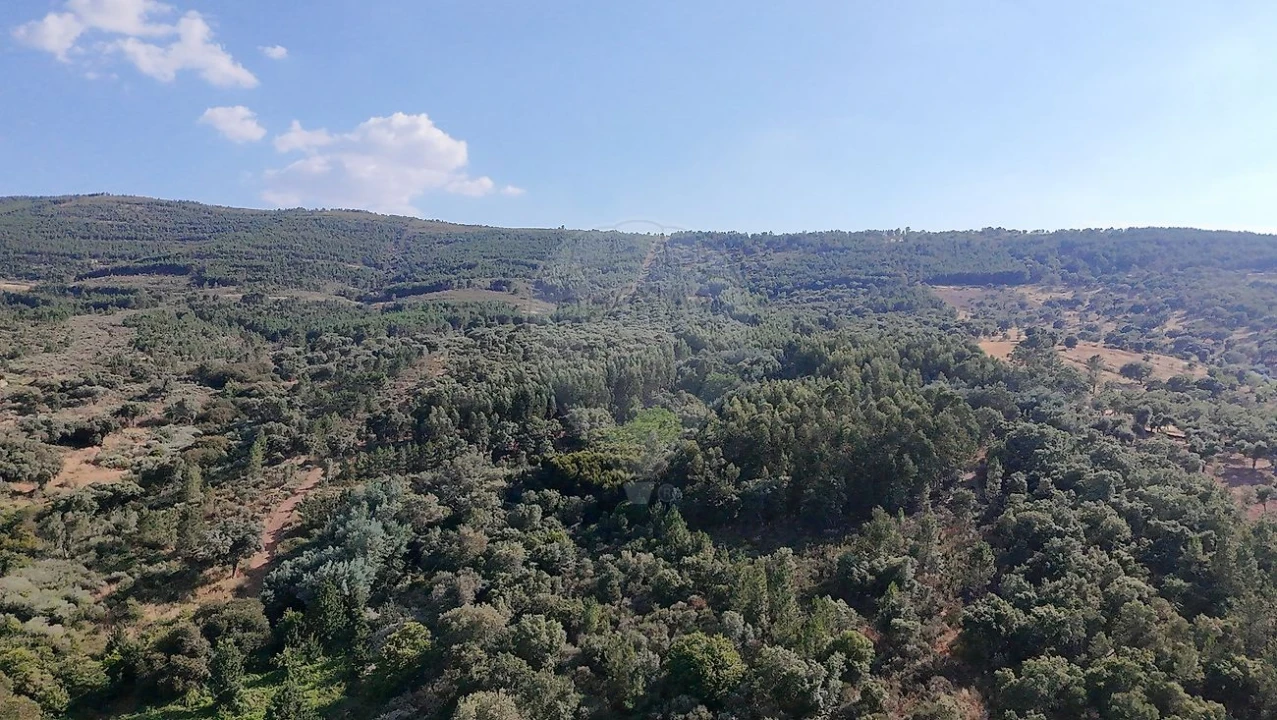 Quinta T0 para Venda em Santa Maria de Marvão Foto 13