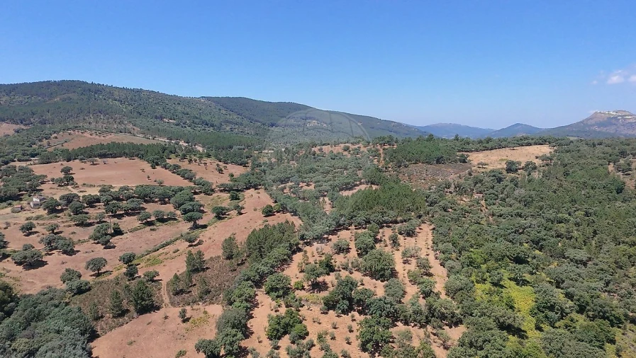 Quinta T0 para Venda em Santa Maria de Marvão Foto 2