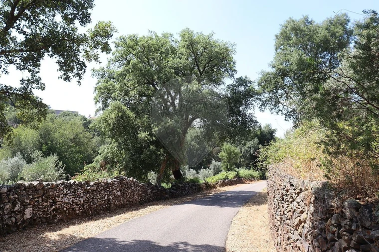 Quinta T0 para Venda em Santa Maria de Marvão Foto 8