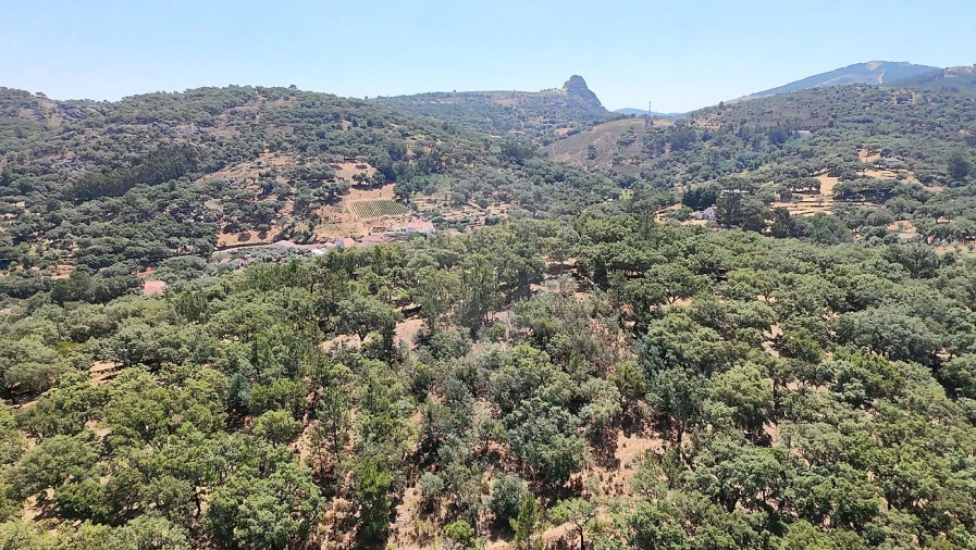 Quinta T0 para Venda em Santa Maria de Marvão Foto 19