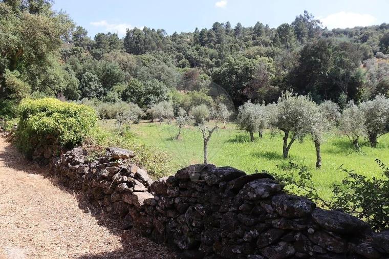 Quinta T0 para Venda em Santa Maria de Marvão Foto 6