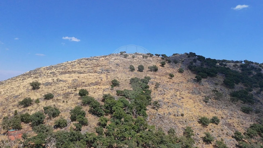 Quinta T0 para Venda em Santa Maria de Marvão Foto 10