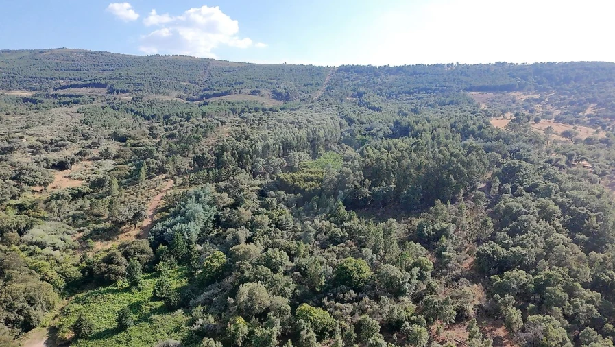 Quinta T0 para Venda em Santa Maria de Marvão Foto 14