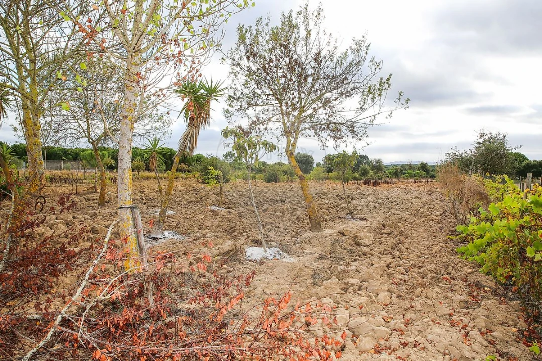 Moradia T3 para Venda em Aveiras de Cima Foto 41