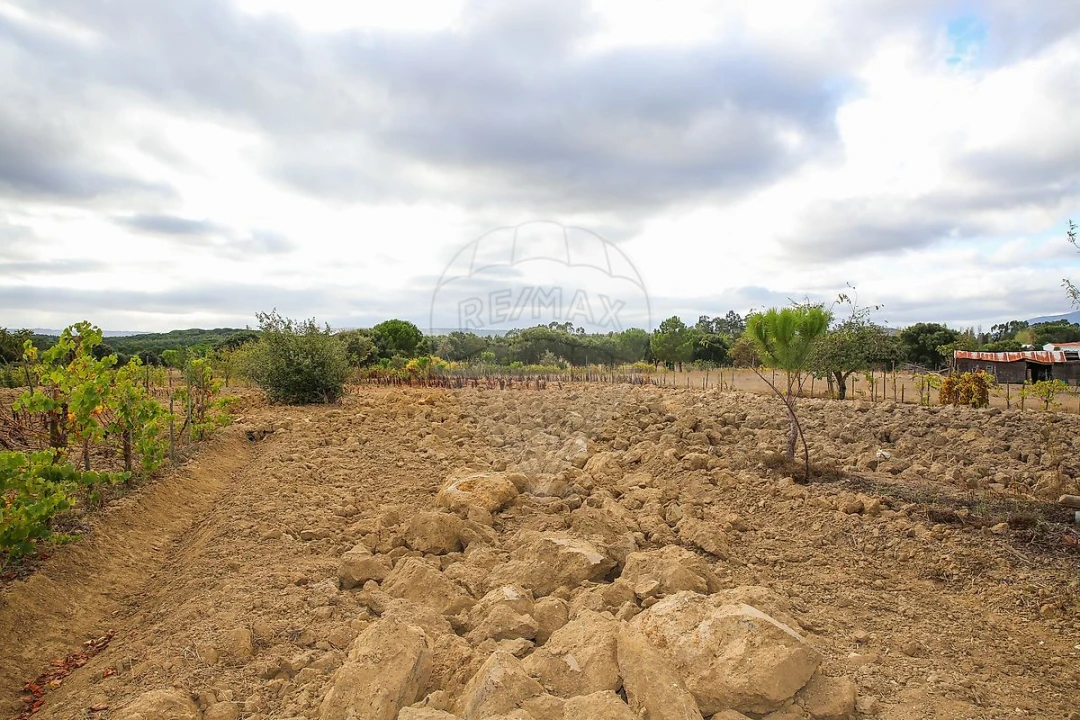 Moradia T3 para Venda em Aveiras de Cima Foto 39