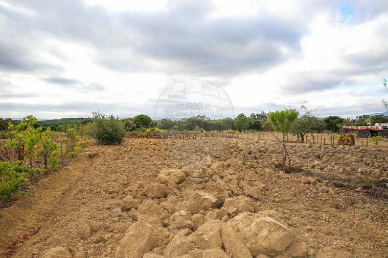 Moradia T3 para Venda em Aveiras de Cima Foto 39