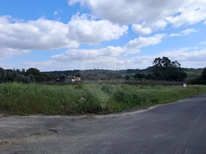 Terreno para Venda em Manique do Intendente, Vila Nova de São Pedro e Maçussa Foto 3