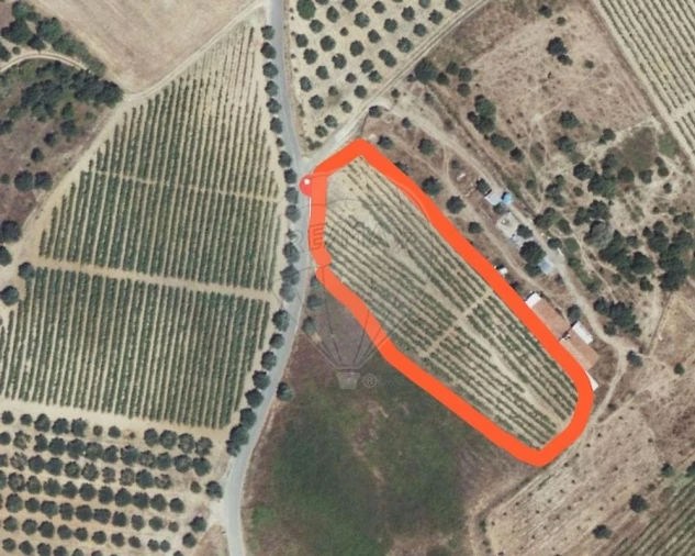 Terreno para Venda em Manique do Intendente, Vila Nova de São Pedro e Maçussa Foto 1