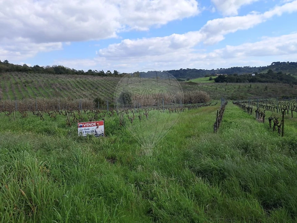 Terreno para Venda em Manique do Intendente, Vila Nova de São Pedro e Maçussa Foto 3