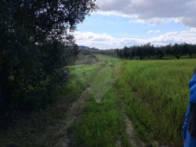 Terreno para Venda em Manique do Intendente, Vila Nova de São Pedro e Maçussa Foto 2