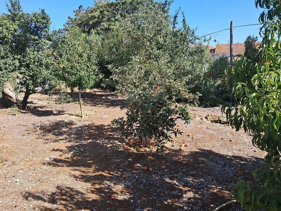 Moradia T2 para Venda em Ereira e Lapa Foto 15