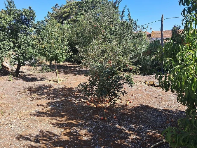 Moradia T2 para Venda em Ereira e Lapa Foto 15