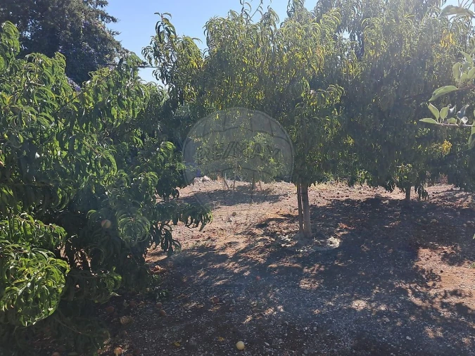 Moradia T2 para Venda em Ereira e Lapa Foto 17