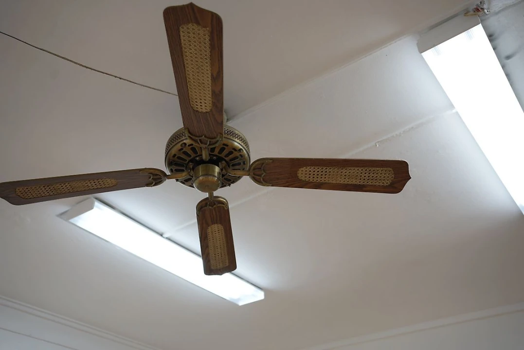 Loja para Venda em Laranjeiro e Feijó Foto 15