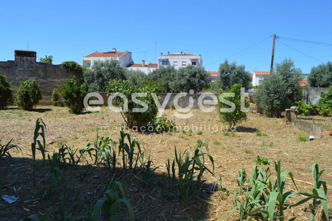Terreno para Venda em São João Baptista Foto 1