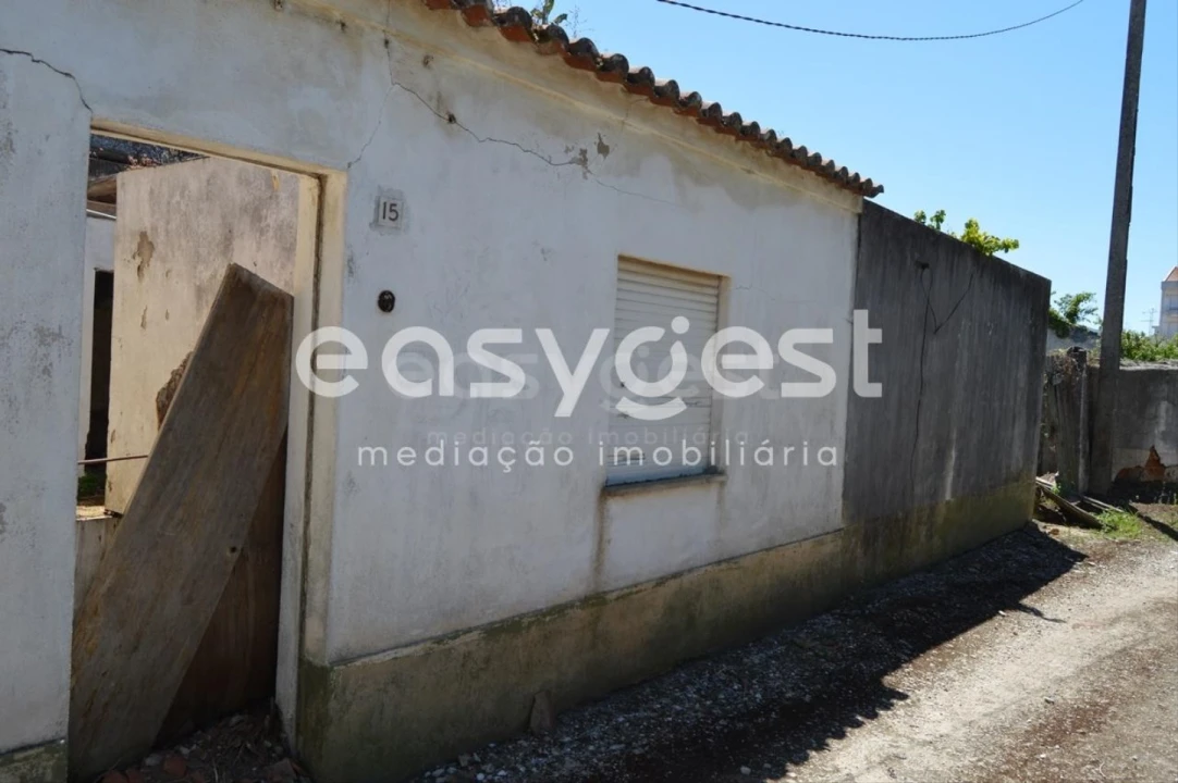 Terreno para Venda em São João Baptista Foto 2