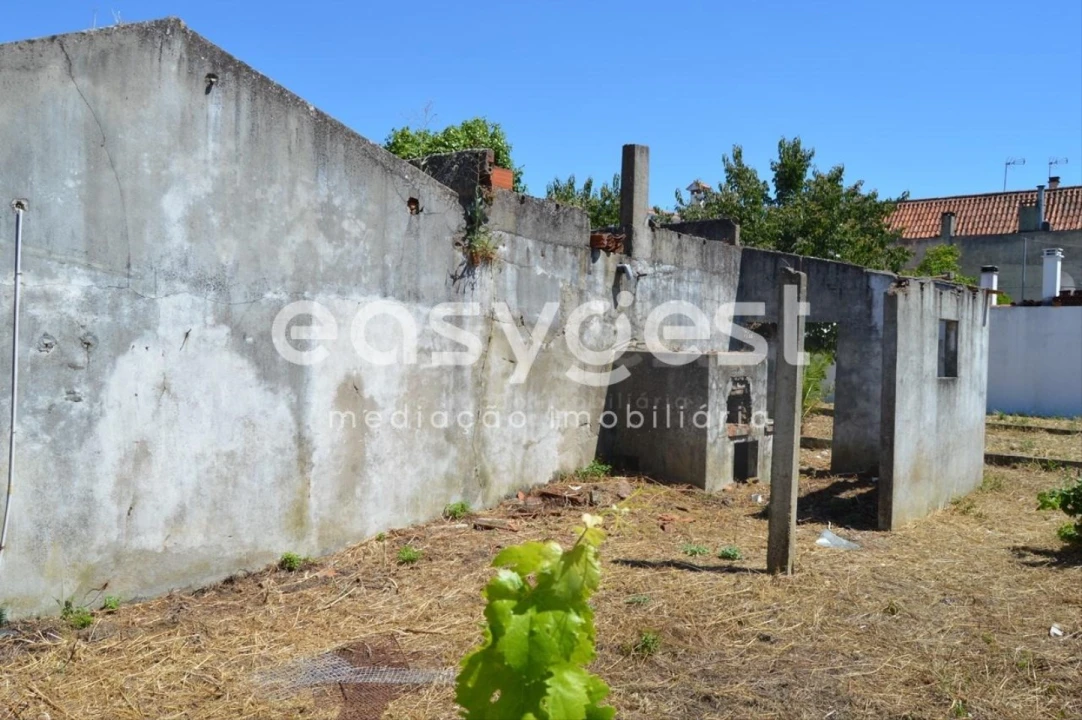 Terreno para Venda em São João Baptista Foto 4