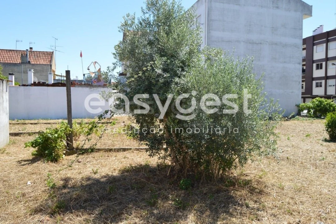 Terreno para Venda em São João Baptista Foto 5