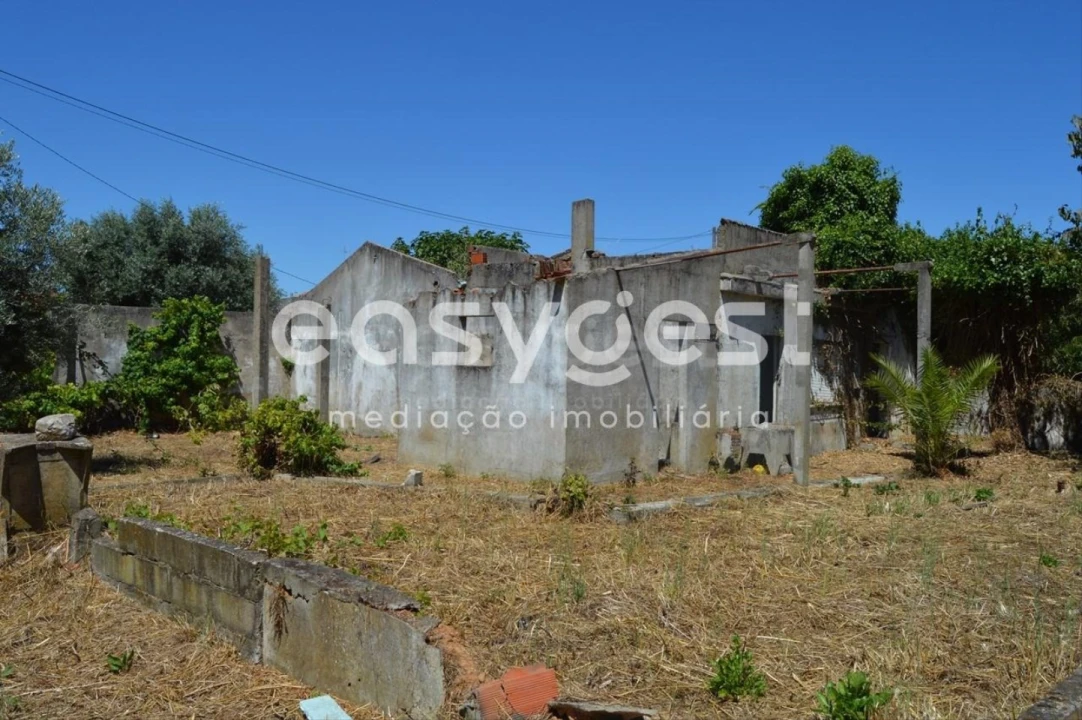 Terreno para Venda em São João Baptista Foto 7