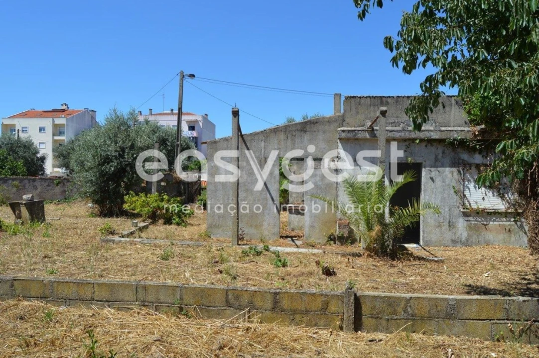 Terreno para Venda em São João Baptista Foto 9