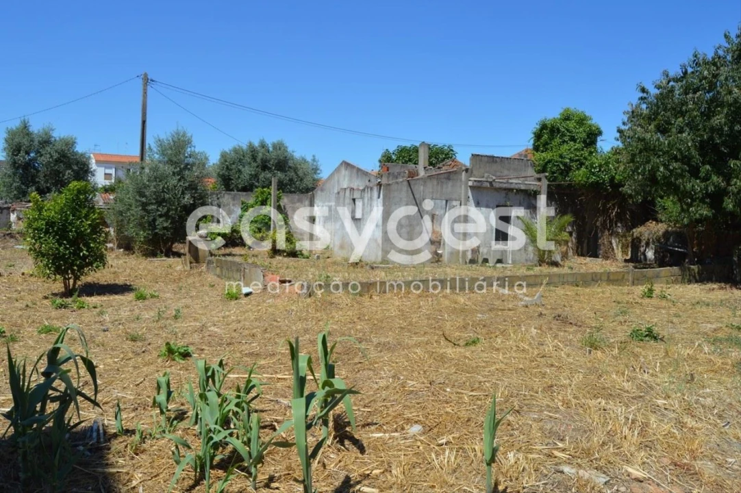 Terreno para Venda em São João Baptista Foto 11