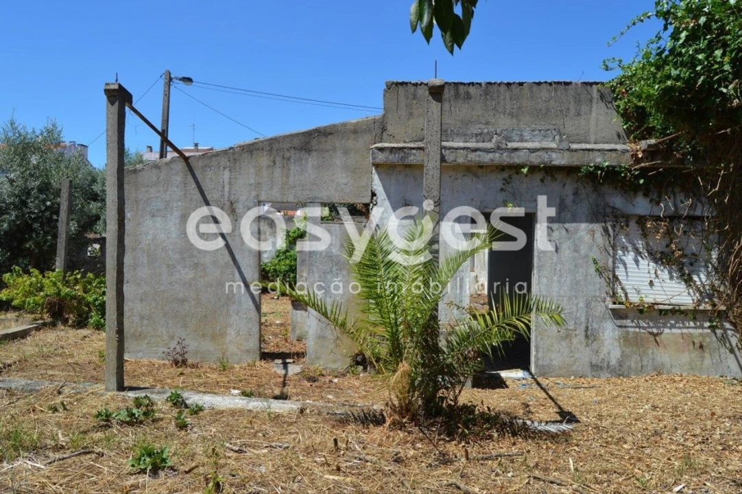 Terreno para Venda em São João Baptista Foto 12