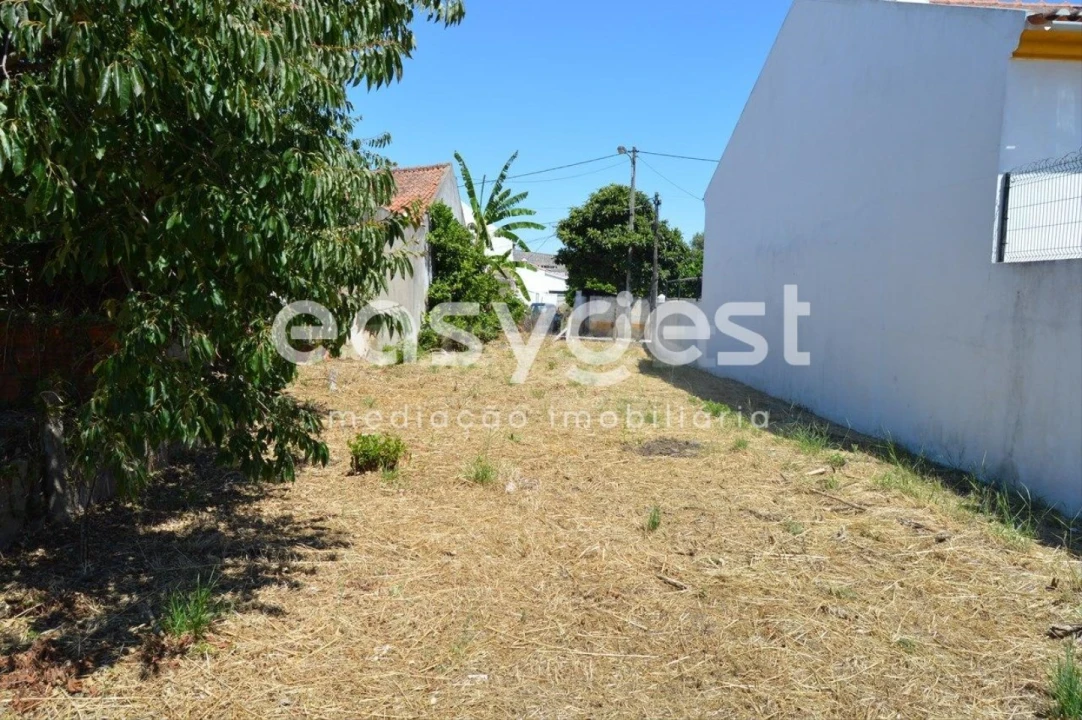 Terreno para Venda em São João Baptista Foto 13