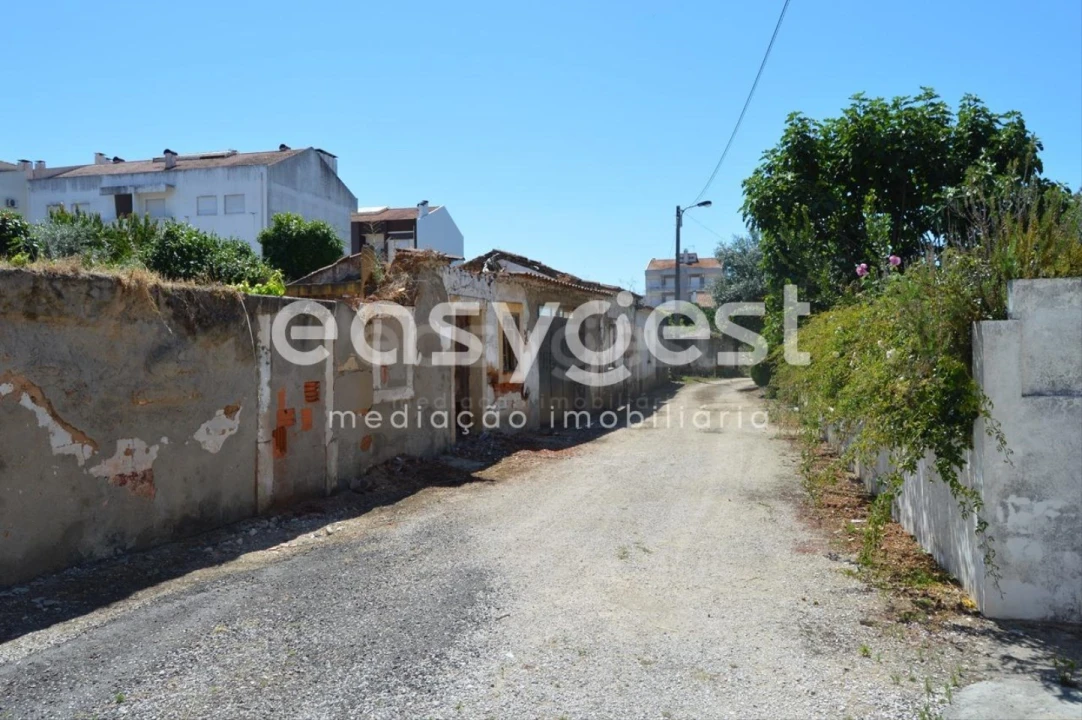 Terreno para Venda em São João Baptista Foto 15