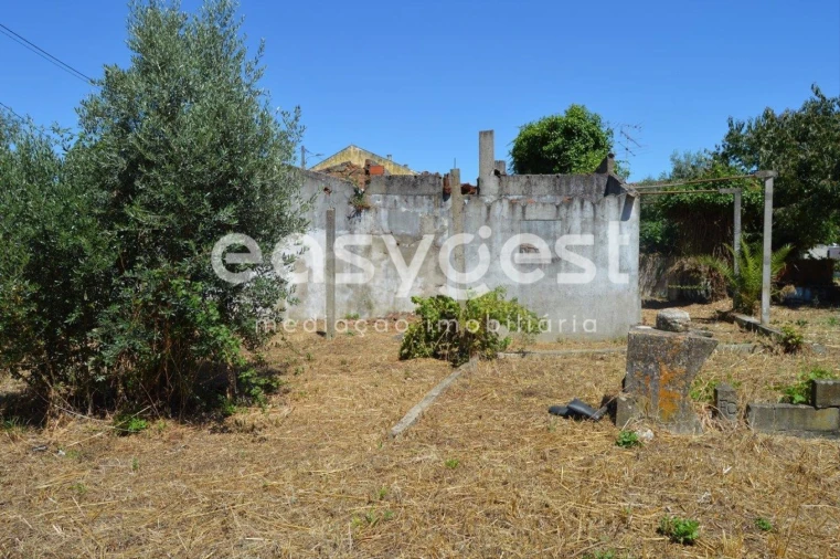 Terreno para Venda em São João Baptista Foto 6