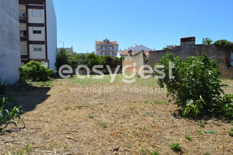 Terreno para Venda em São João Baptista Foto 8