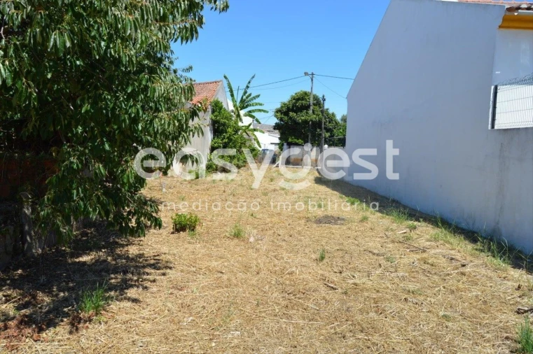 Terreno para Venda em São João Baptista Foto 13