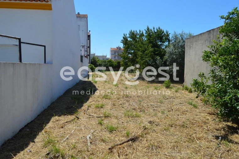 Terreno para Venda em São João Baptista Foto 14