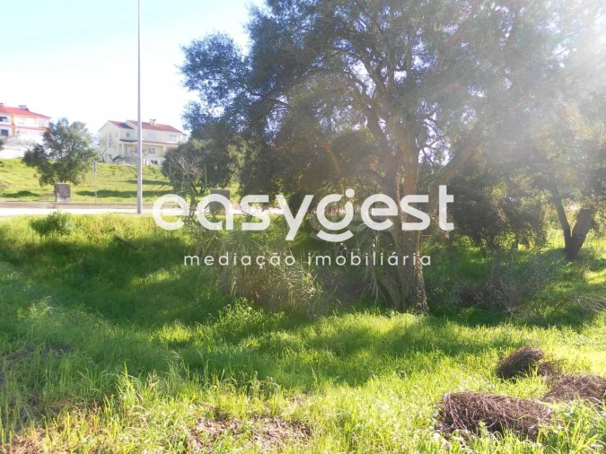 Terreno para Venda em Nossa Sra de Fatima Foto 3