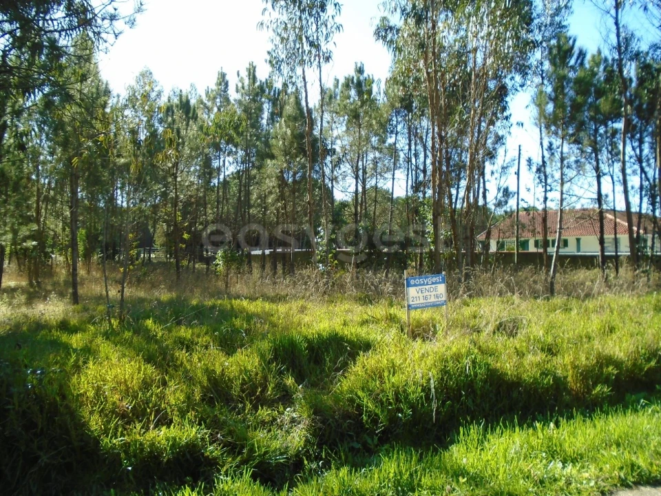 Terreno para Venda em Pataias e Martingança Foto 6
