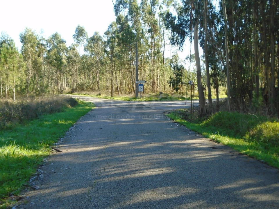 Terreno para Venda em Pataias e Martingança Foto 13