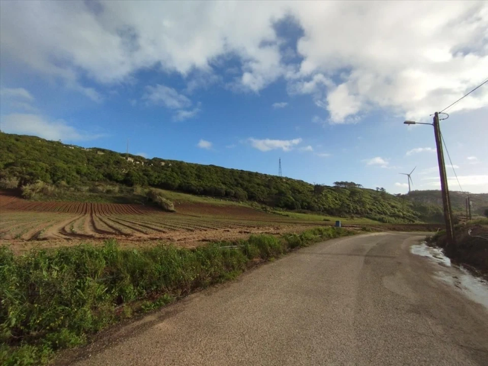 Terreno Agricola ou Rústico para Venda em São Bartolomeu dos Galegos e Moledo Foto 8