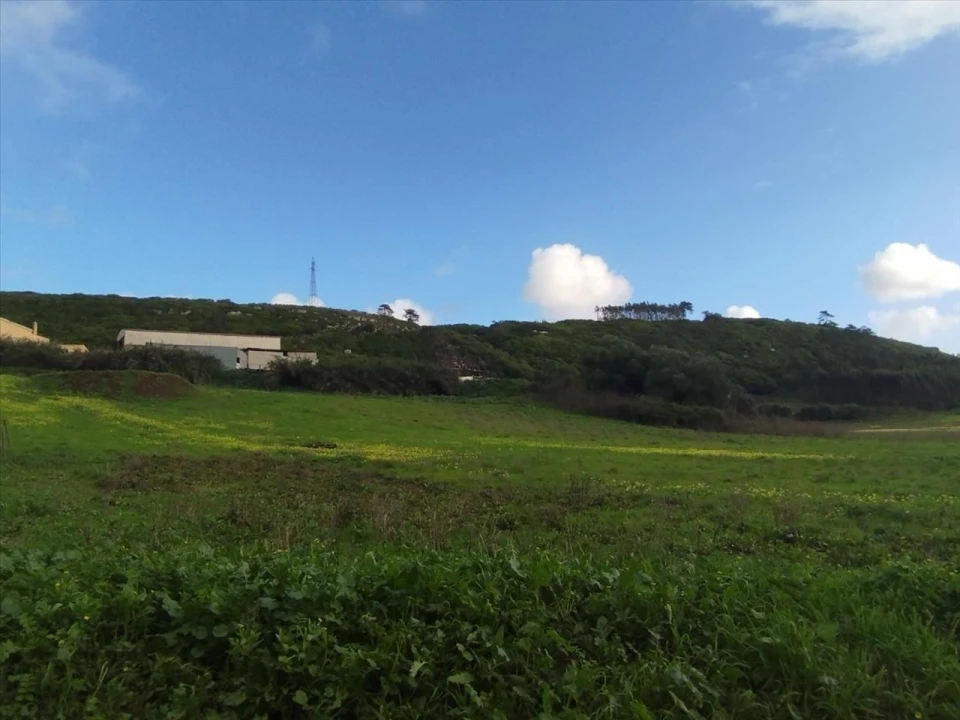Terreno Agricola ou Rústico para Venda em São Bartolomeu dos Galegos e Moledo Foto 5