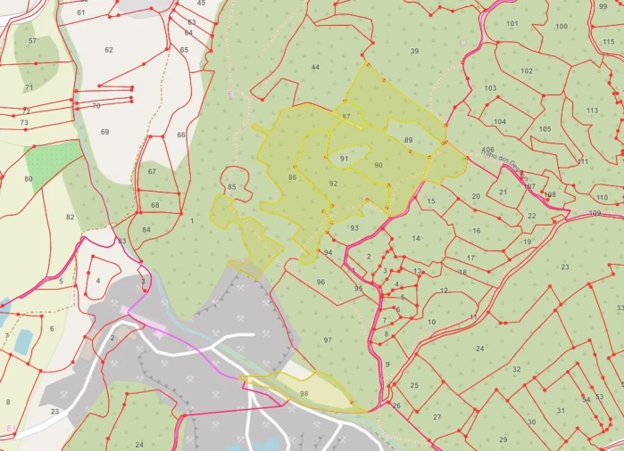 Terreno Agricola ou Rústico para Venda em São Bartolomeu dos Galegos e Moledo Foto 12