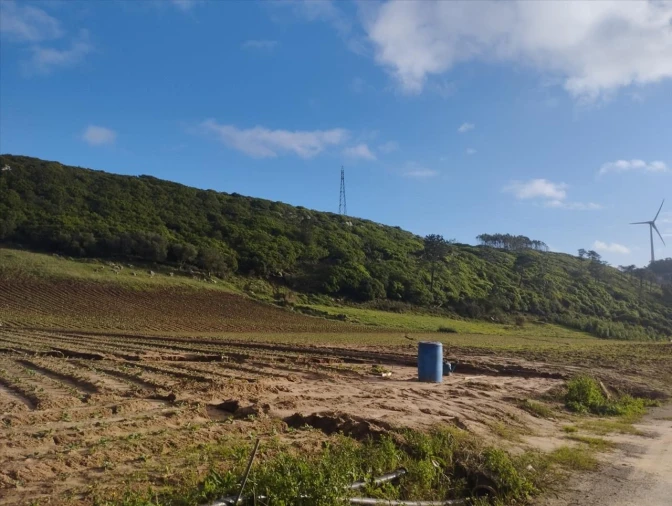 Terreno Agricola ou Rústico para Venda em São Bartolomeu dos Galegos e Moledo Foto 3