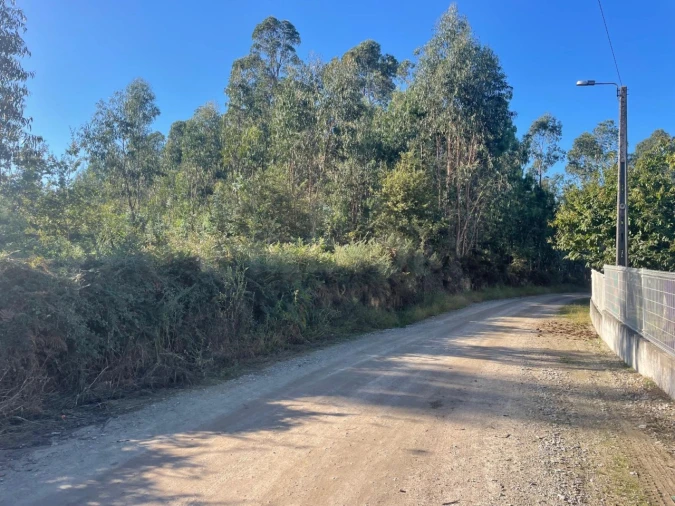 Terreno para Venda em Viatodos, Grimancelos, Minhotães, Monte Fralães