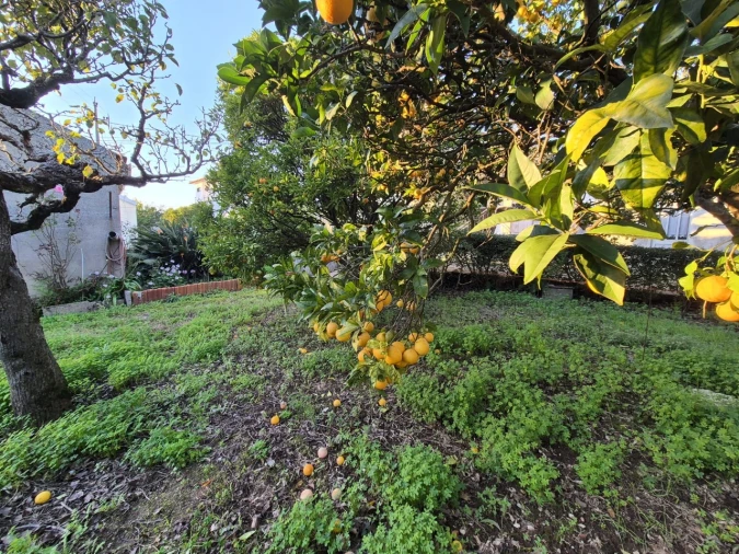 Moradia T2 para Venda em Vila Verde Foto 26