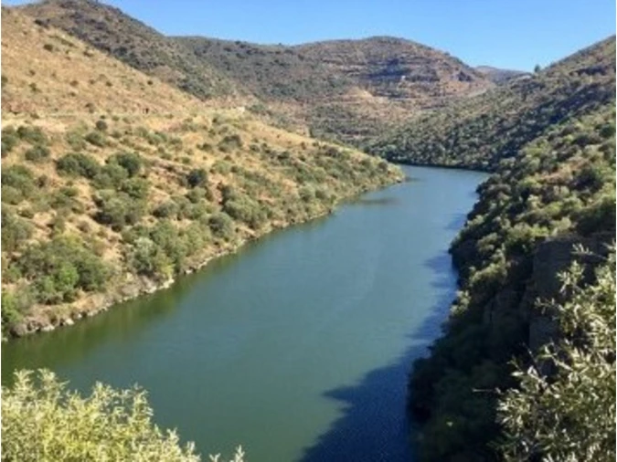 Terreno para Venda em Figueira de Castelo Rodrigo Foto 2