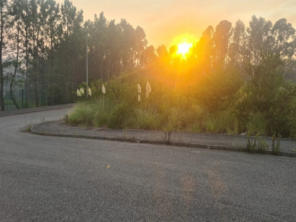 Terreno para Venda em Águeda e Borralha Foto 1