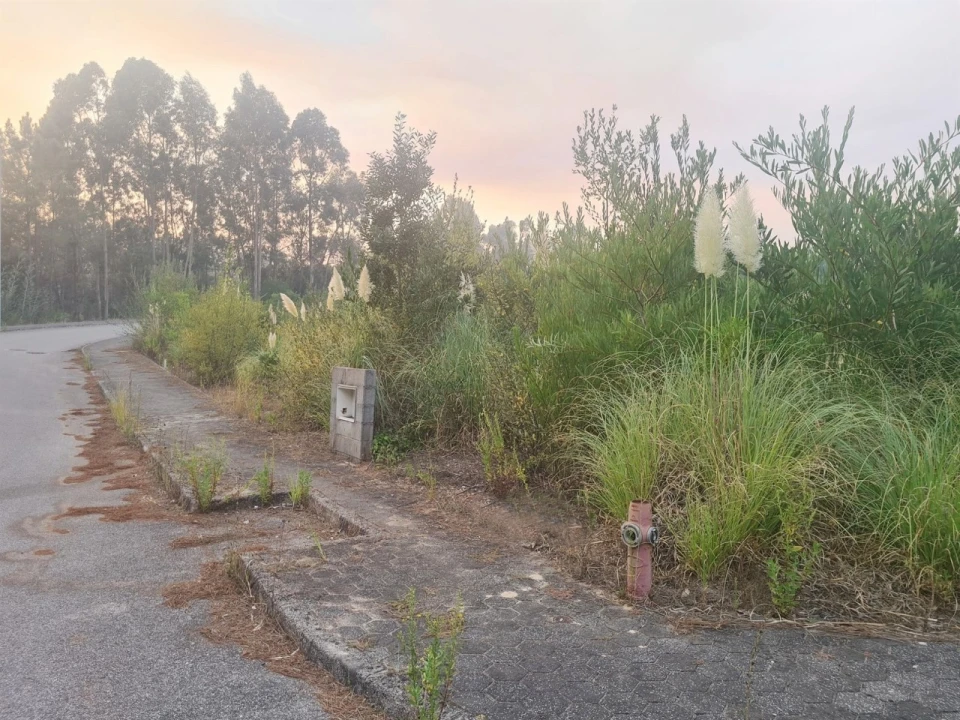 Terreno para Venda em Águeda e Borralha Foto 4