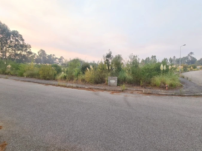 Terreno para Venda em Águeda e Borralha Foto 2