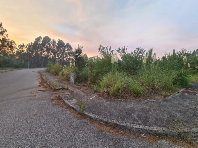 Terreno para Venda em Águeda e Borralha Foto 5