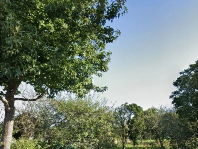 Terreno para Venda em Santa Joana Foto 4