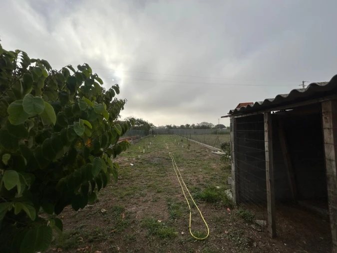 Moradia T4 para Venda em Gafanha da Nazaré Foto 25